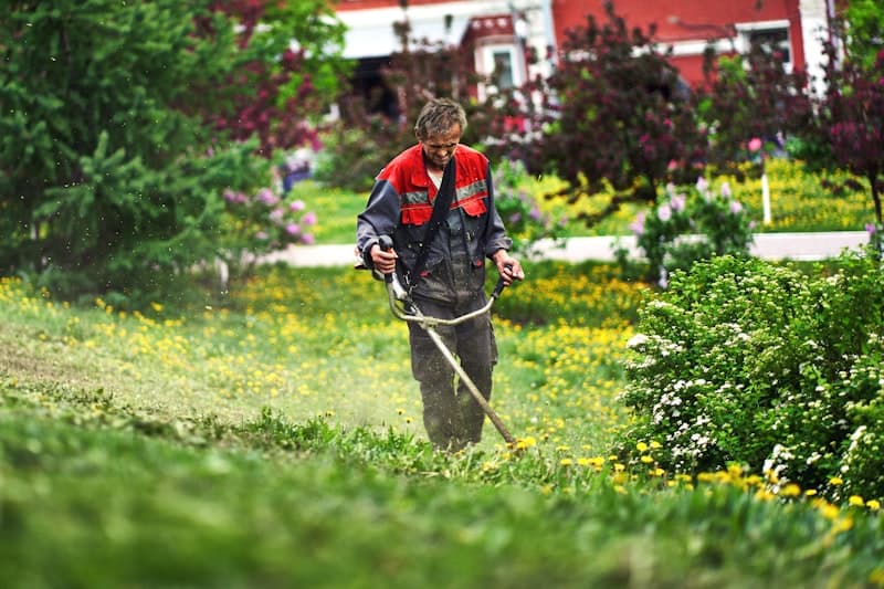 Landscaping